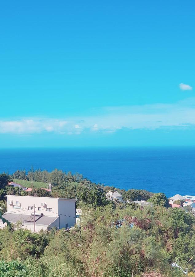 Lilie Location Manapany 4 Etoiles Villa Petite Île Exteriör bild